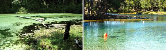 Weeki Wachee Springs before and after