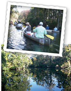 Chassahowitzka Spring site