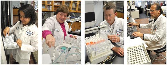 Lab staff at work