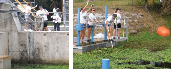 students at work during Coastal Cleanup Day