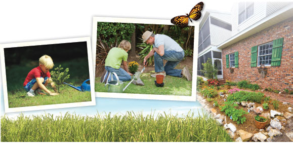 Make Your Yard Florida-Friendly