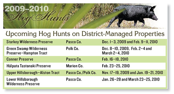 calendar of hog hunt dates
