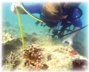 Cole Kolasa diving among the coral