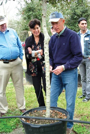 Tort explaining irrigation