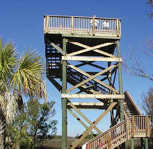 observation tower pic