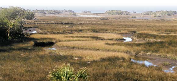 withlacoochee preserve