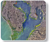 seagrass map