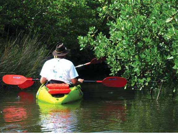 kayaking into Clam Bayou