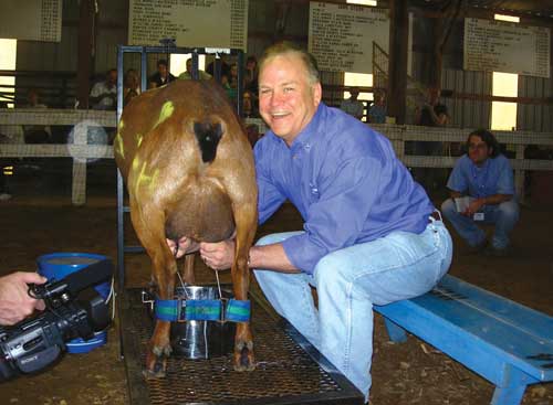 Dave Moore milking a goat