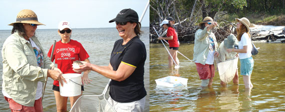 Attendees on wading tour