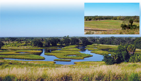 Cockroach Bay site before and after restoration