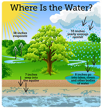 Water illustration