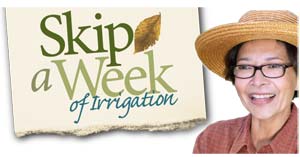 Skip a Week logo