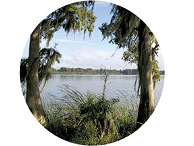 a Lake Hancock