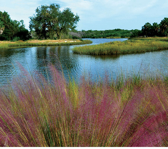 Clam Bayou beauty shot