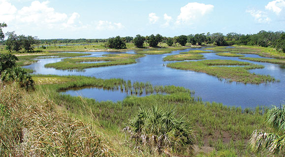 Cockroach Bay