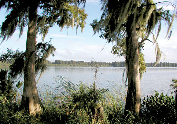 Lake Hancock