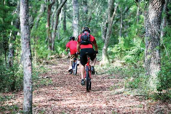 Biking through wooded trails