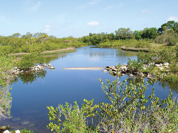 Clam Bayou area