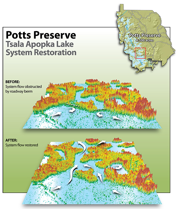 Potts Preserve system restoration graphic 